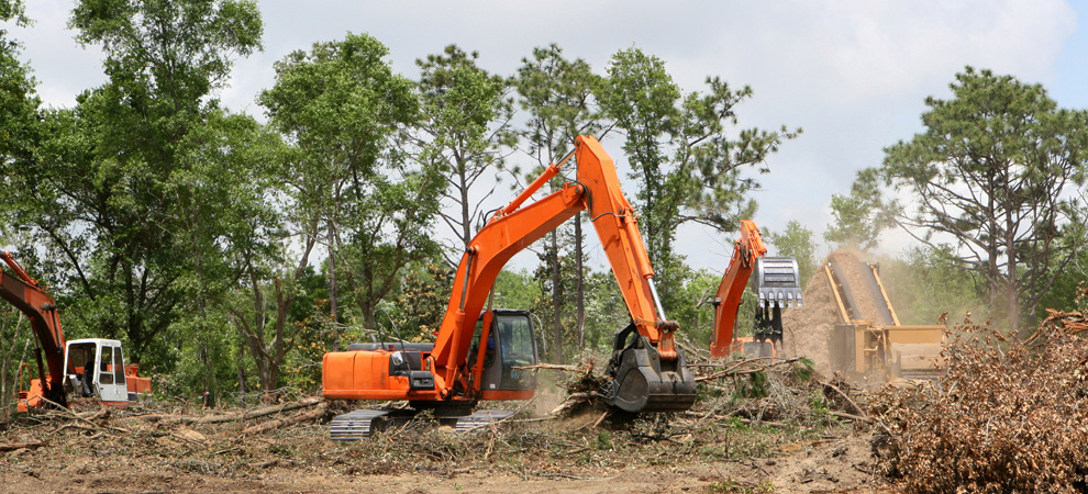 Leading Land Clearing Services in Boston Massachusetts